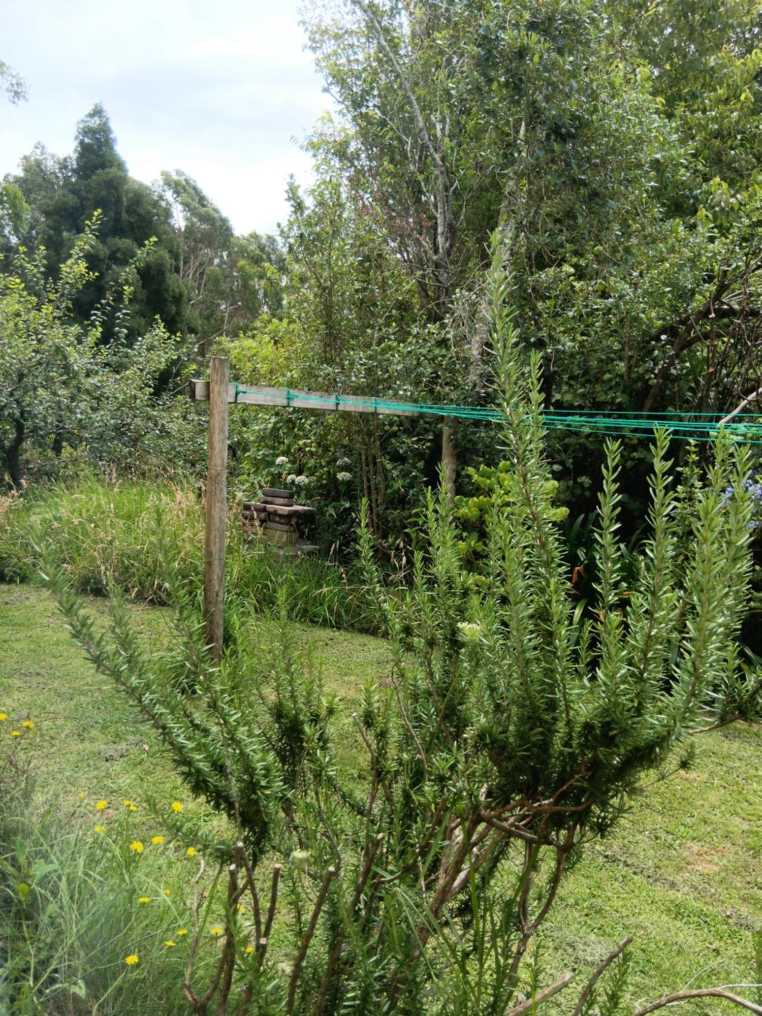 Purple Hen Country Lodge Катикати Номер фото