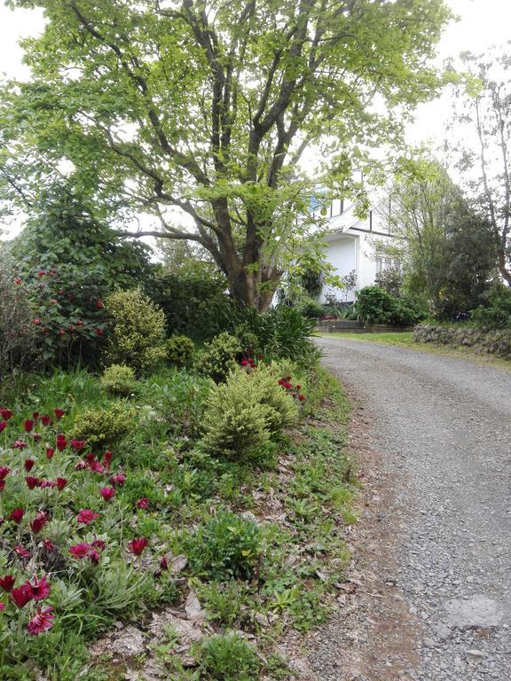 Purple Hen Country Lodge Катикати Экстерьер фото